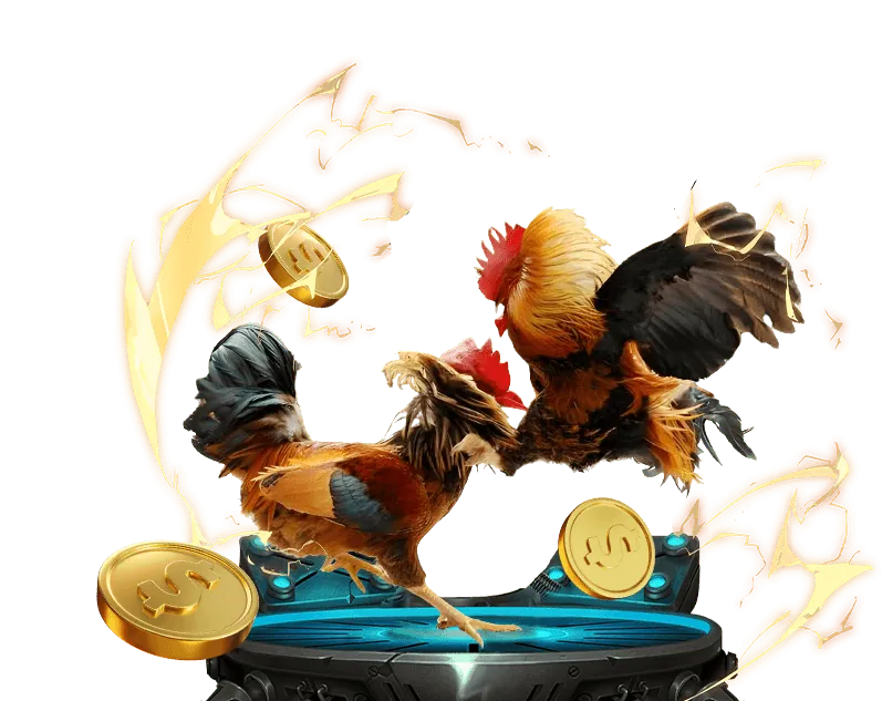 Quản lý vốn cược